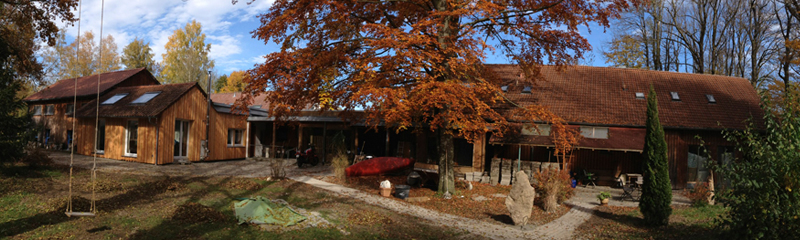 Biberburg im Herbst